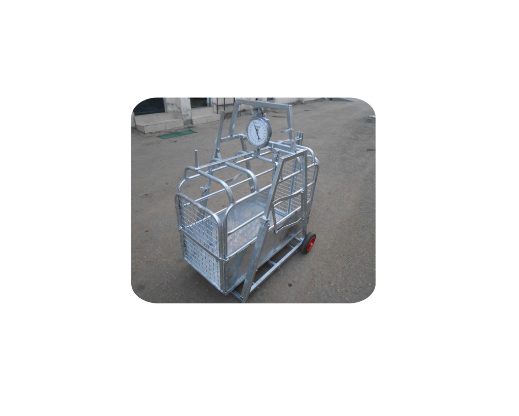 Scaffolding Product